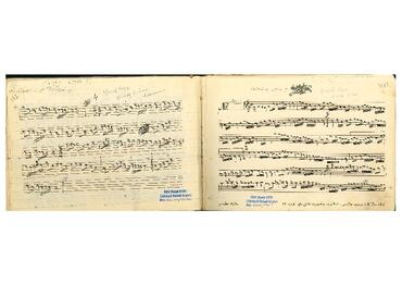 Open original Dijital obje