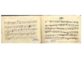 Hicaz (Hümayun) Saz Eseri