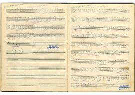 Kürdilihicazkar Saz Eseri