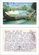 Cebbar Ertürk’ten Ziyad Ebüzziya’ya kartpostallar