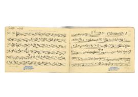 Acemkürdi Saz Eseri