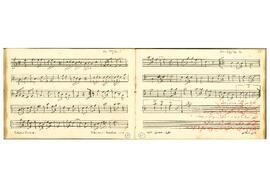 Kadını siz çiçek sanmayın