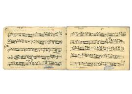 Şedaraban Saz Eseri