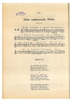 Saba Nefes