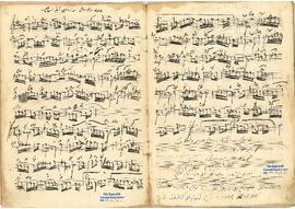 Suzinak Ağır Semai